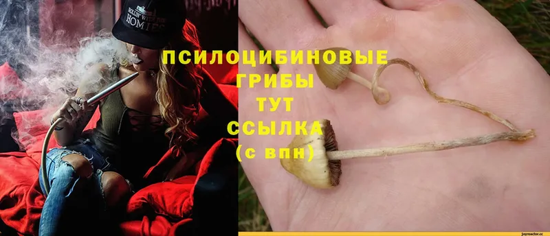 Псилоцибиновые грибы Magic Shrooms  блэк спрут маркетплейс  Еманжелинск 